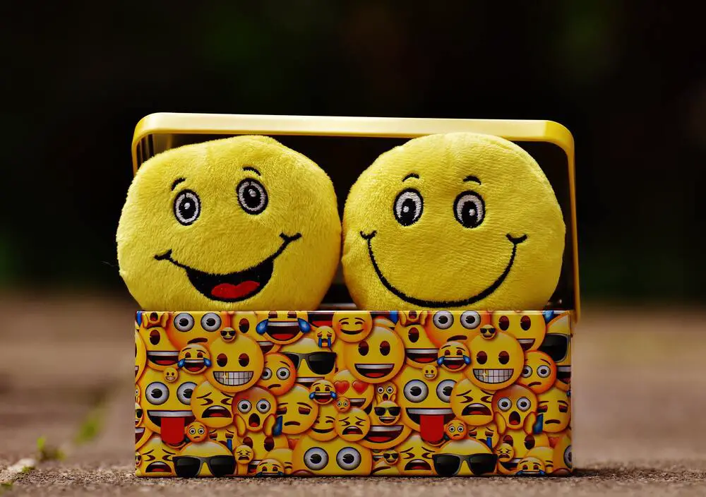 Imagem de dois smiles de pelúcio dentro de uma caixa. Foto para representar ideias de frases para chá de fraldas engraçadas
